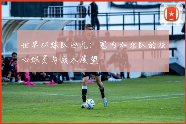 世界杯球队巡礼：塞内加尔队的核心球员与战术展望